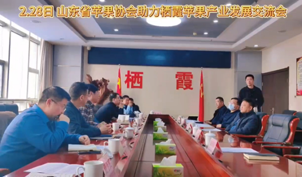 发挥协会优势助力我省苹果产业高质量发展